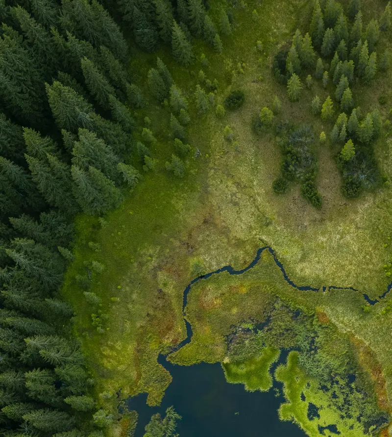 Respectueux de l’environnement
